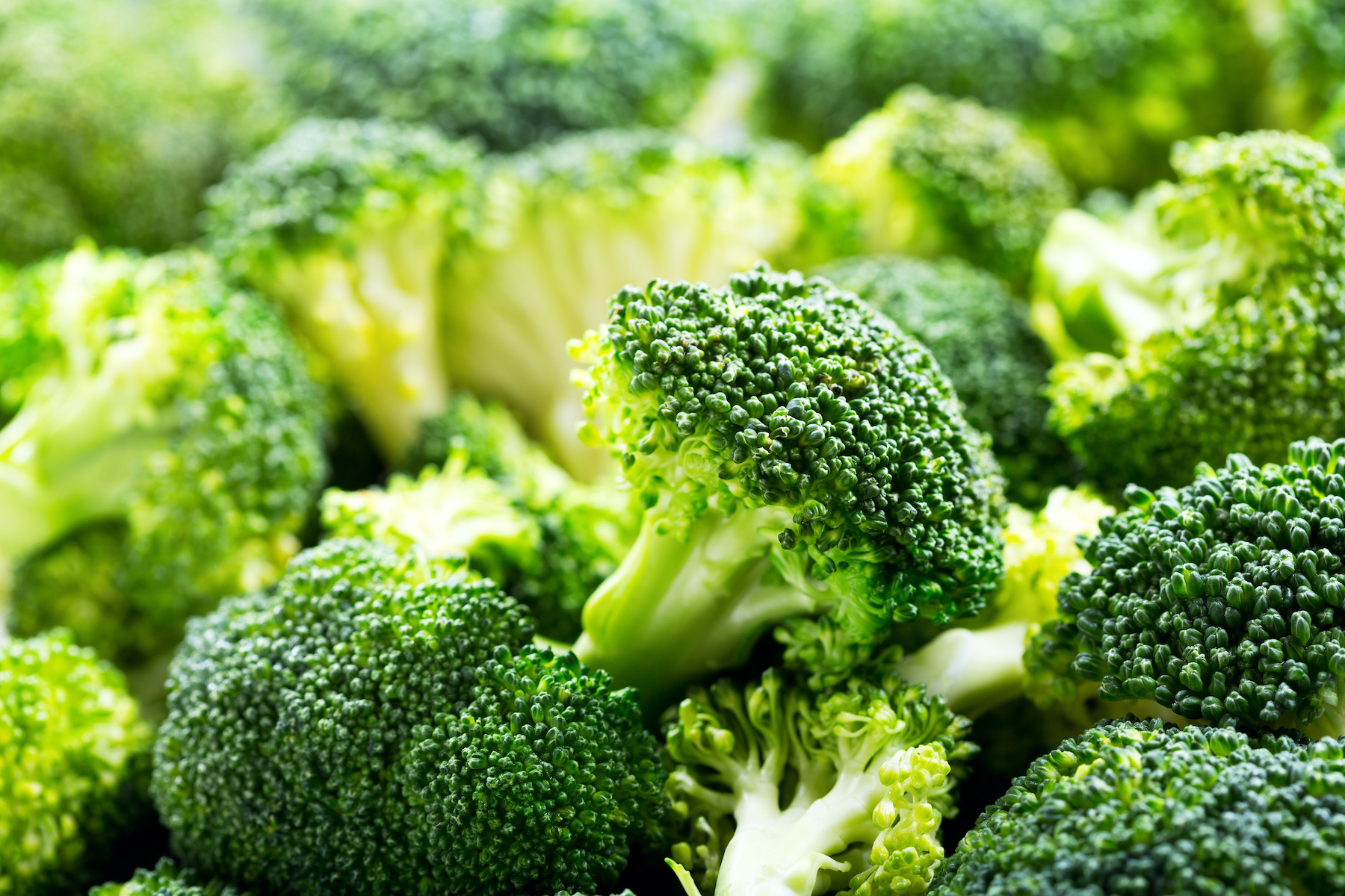 Faites-vous partie des « super-goûteurs », particulièrement sensibles aux composés amers présents notamment dans le brocoli ? © Nitr, Adobe Stock